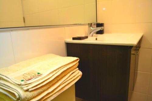 Apartamentos Alma Surire
