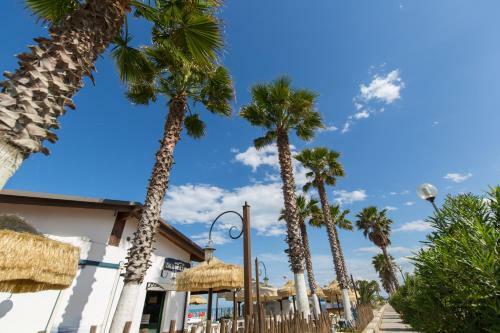 Bed & Breakfast Sapore Di Sale