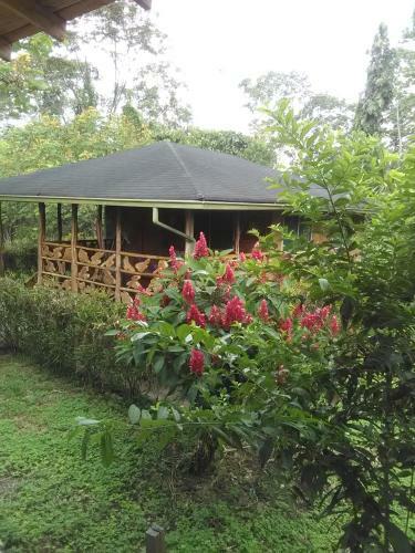 Hotel Shaman Lodge