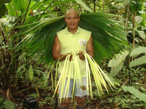 Hotel Shaman Lodge