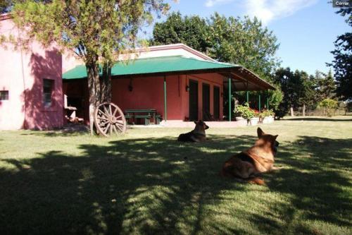 Agroturismo Haras El Pensamiento