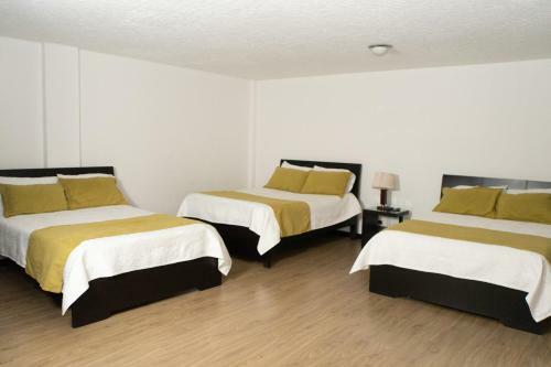 Hotel El Aerolito