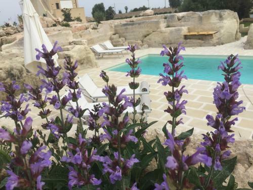 Masseria Gelsi B&B And Events