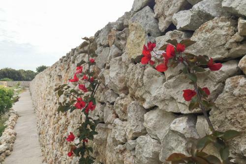 Masseria Gelsi B&B And Events