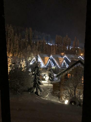 Bukovynskiy Zatyshok