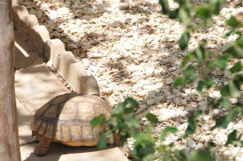 Bed & Breakfast La Villa Blanche