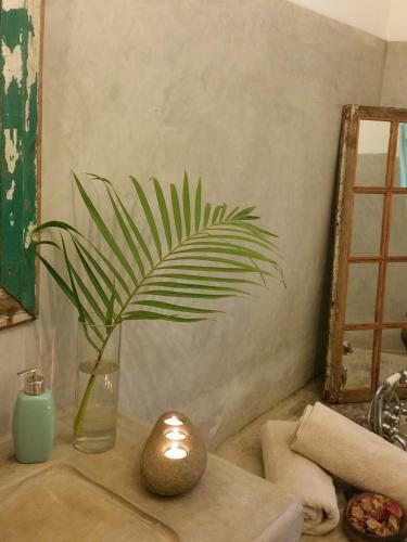 Bed & Breakfast Blues & Chutney Country