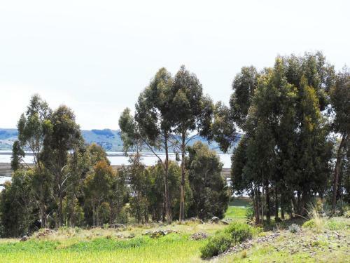 Agroturismo Vestigios Hotel