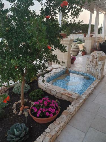 Bed & Breakfast Le Anfore Del Salento