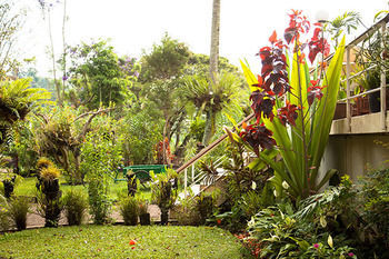 Bird Of Paradise Hotel & Apartments