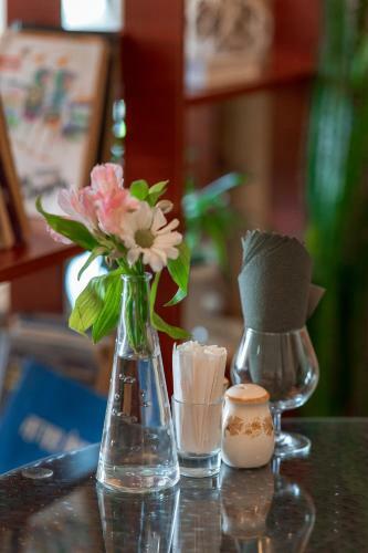Hotel Guest House Blizhnie Dubki