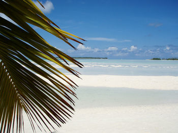 Apartamento Castaway Fishing Lodge