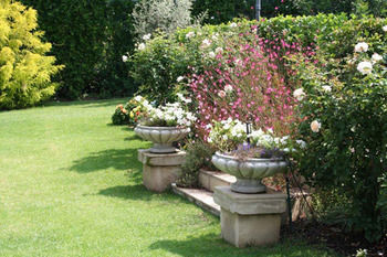 Bed & Breakfast Burkleigh House