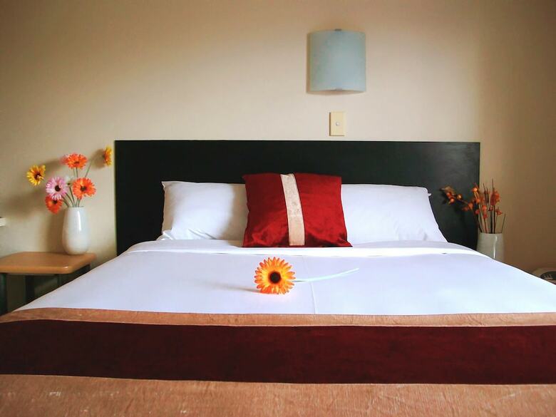 Ann�s Volcanic Motel