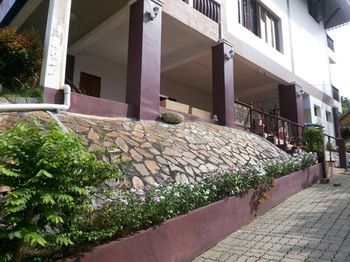 Hotel P.u.p Bamboo Bungalow