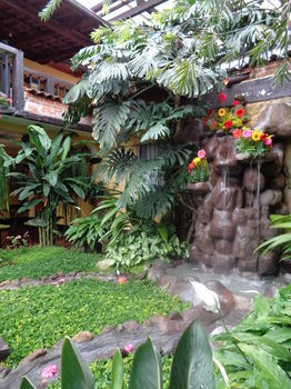 Hotel Las Camelias Inn