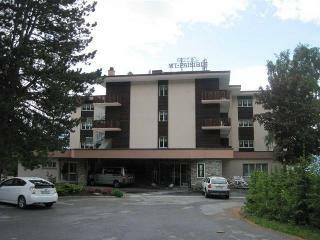 Hotel H�tel Le Mont Paisible