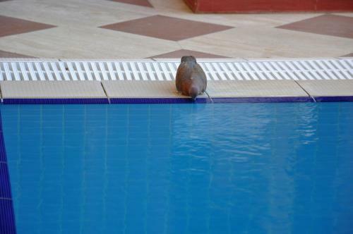 Eski Masal Hotel - Boutique Class