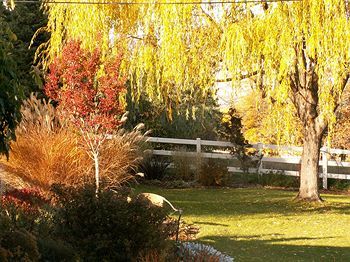 Bed & Breakfast Country Willows Inn