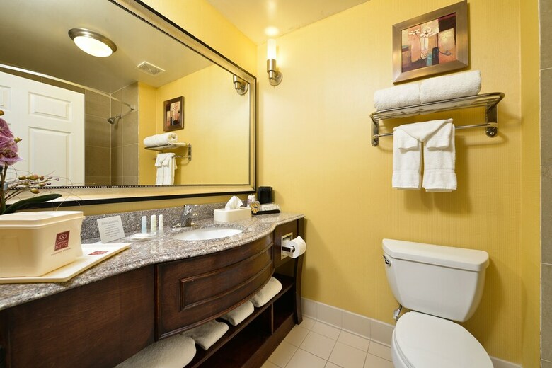 Hotel Comfort Suites Bay City