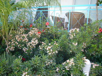 Apartamento Blue Oasis Gardens
