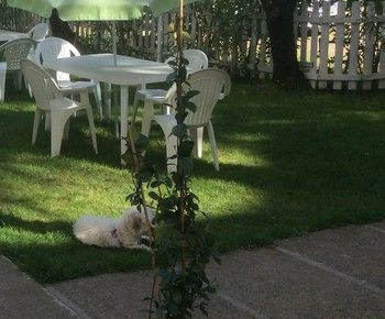 Hotel Villa Casa Blanca