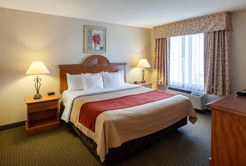 Hotel Comfort Inn Lexington