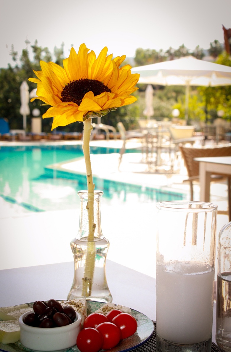 Aparthotel Villa Vicky