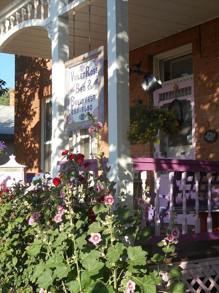 Violet Rose Bed & Breakfast