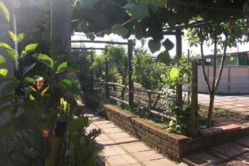 Bed & Breakfast Green Paradise Affittacamere