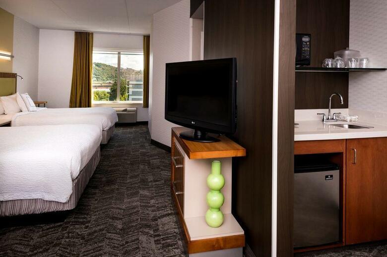 Hotel Springhill Suites By Marriott Pittsburgh Southside Works