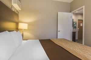 Hotel Comfort Inn City Centre
