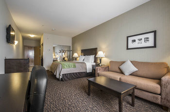 Comfort Inn Surrey Hotel