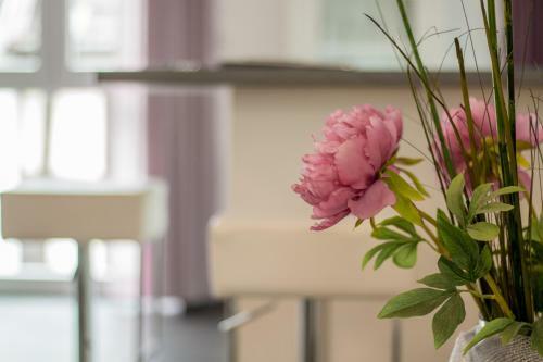 Apartamentos Ferienapartments Am Steinfelder Hof