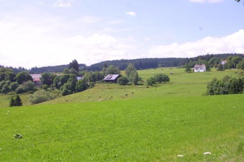 Agroturismo Hofgut Duerrenbuehl