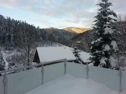 Apartamento Ferienwohnungtraumblick