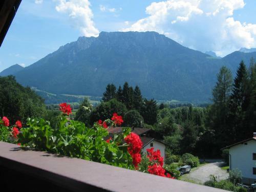 Hostal Pension Blauer Gamsbock