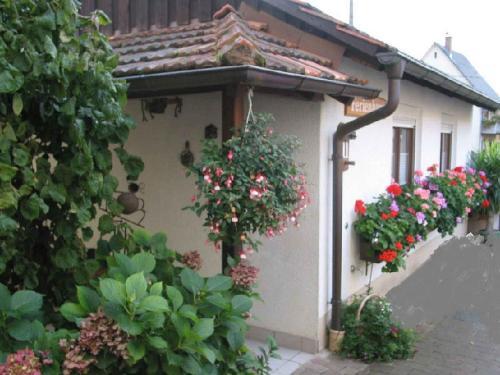 Apartamento Ferienhaus Steinger Am Blumeng�ssle