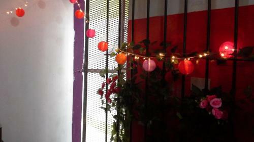 Albergue Hospedaje La Rana