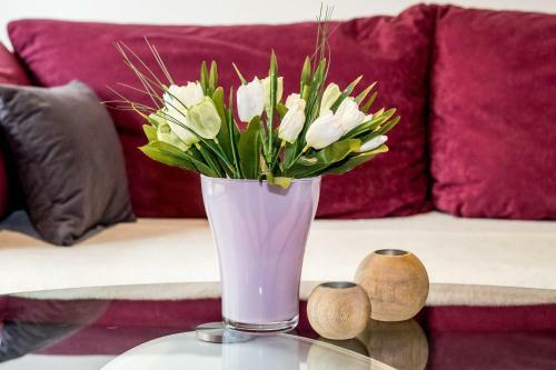 Apartamento Harz-traum