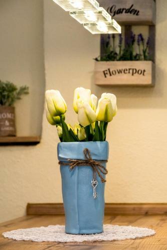 Apartamento Harz-traum