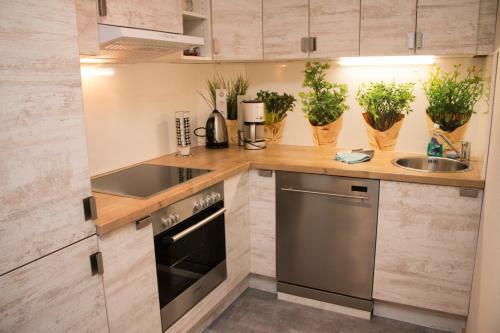 Apartamento Ferienwohnungen "am M�hlteich"