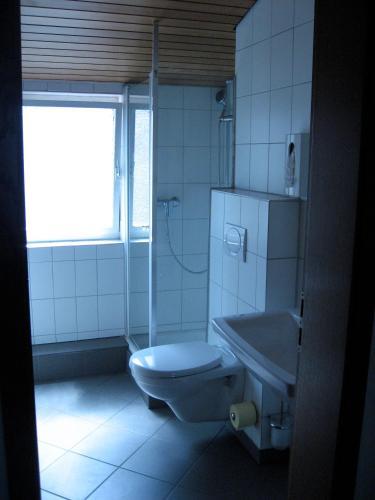 Posada Gasthof Traube