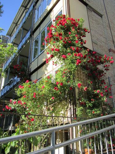 Apartamentos Kernerapartement