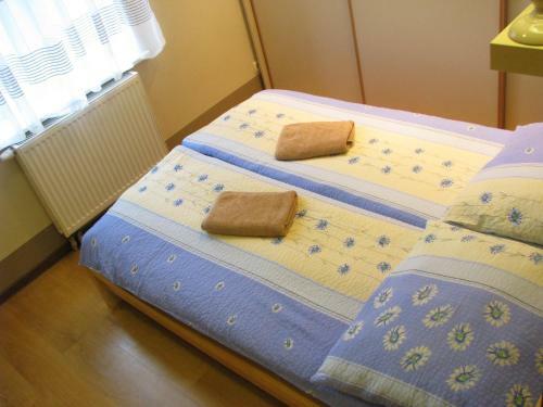 Residencia Villa Sart