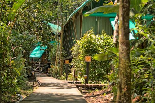 Almonds And Corals Lodge