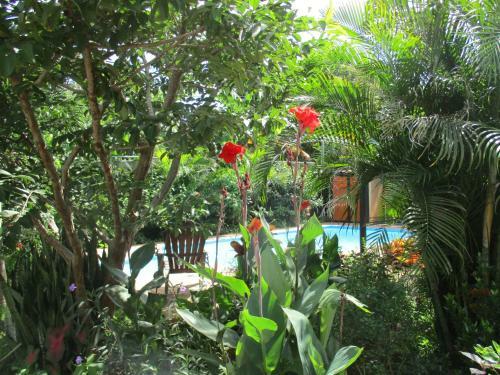 Villa Jungle