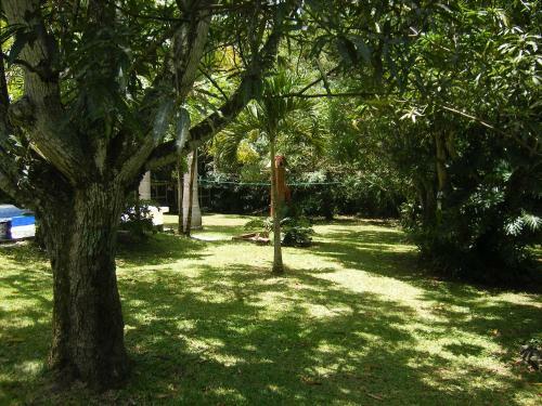 The Orchid Tree B&B Costa Rica