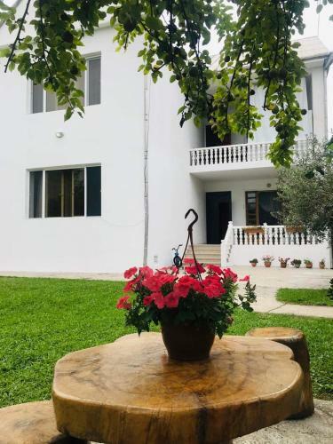 Hostal Sweet Home Near Black Sea