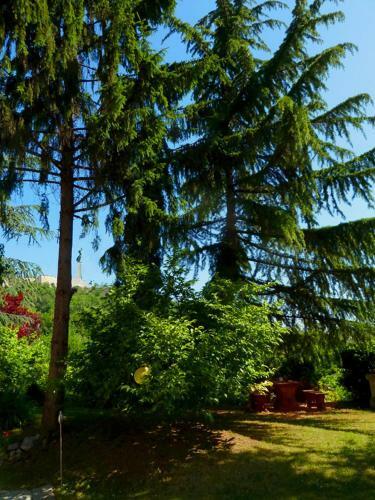 Bed & Breakfast Citadella Guesthouse
